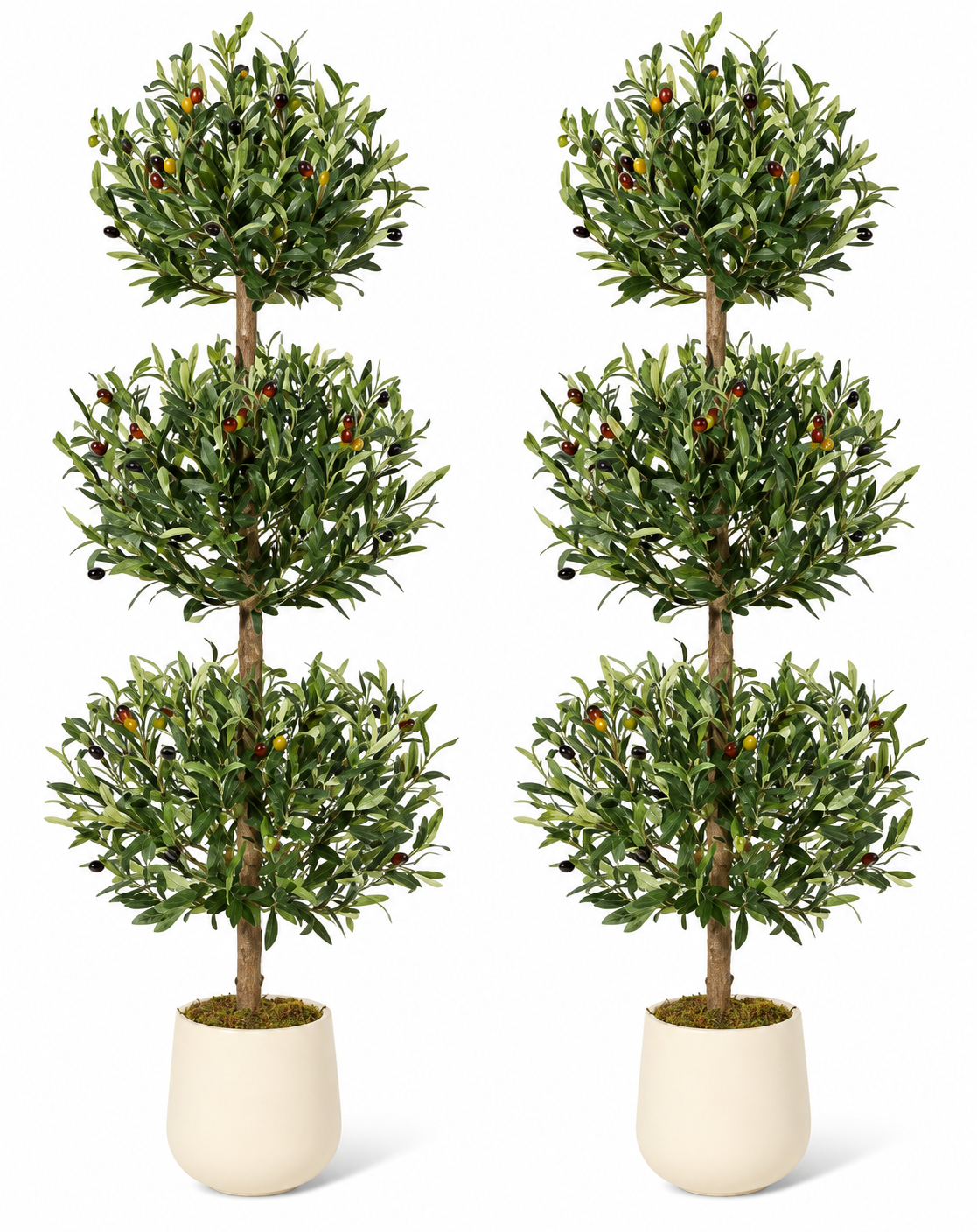 Agathe - Duo Oliviers Artificiels
