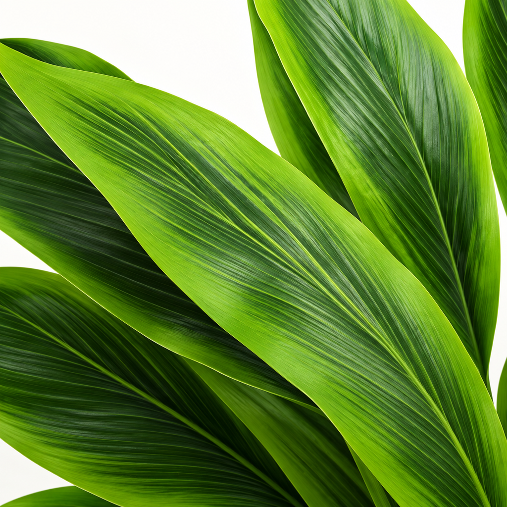 Afme - Cordyline Artificiel 90cm