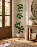 Agap – Ficus Elastica Artificiel Intérieur et Extérieur