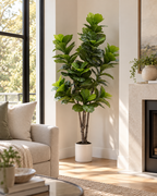 Ahon – Ficus Lyrata Artificiel
