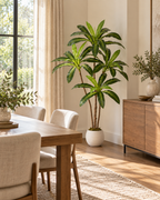 Alde – Dracaena Artificielle 150 cm