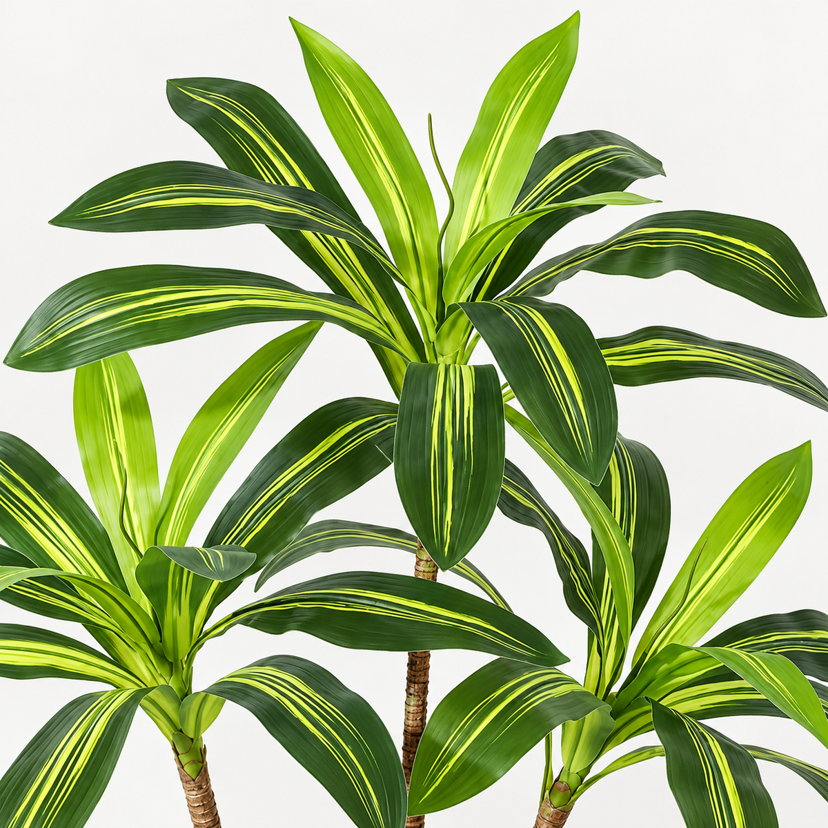 Alde – Dracaena Artificielle 150 cm