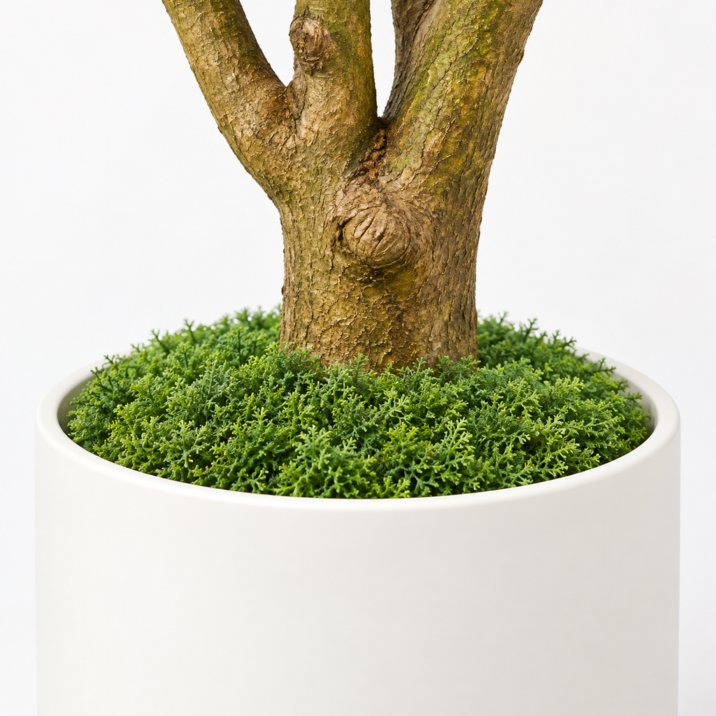 Alice - Scheffler Artificiel de 210 cm