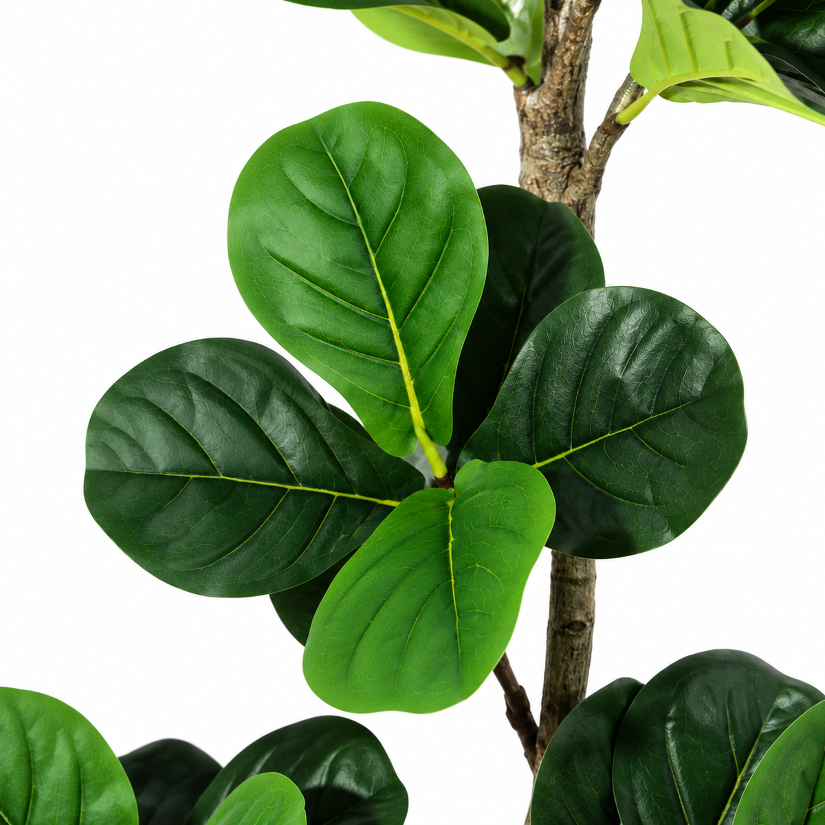 Alicia - Ficus Lyre Artificiel 150cm