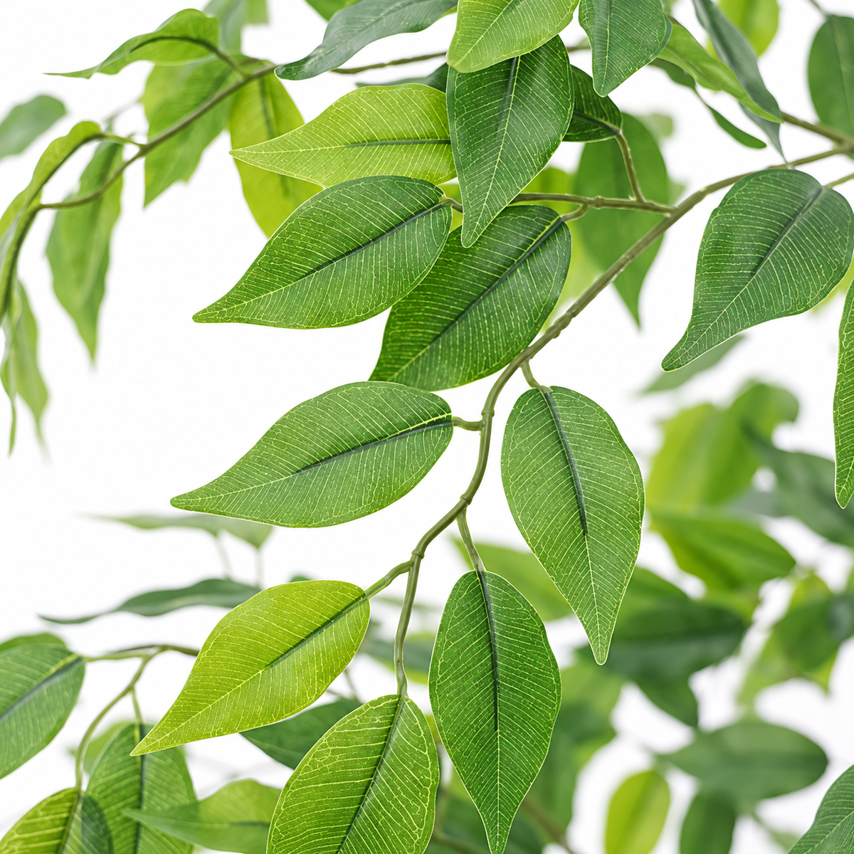 Ambre - Fictus Artificiel 160cm
