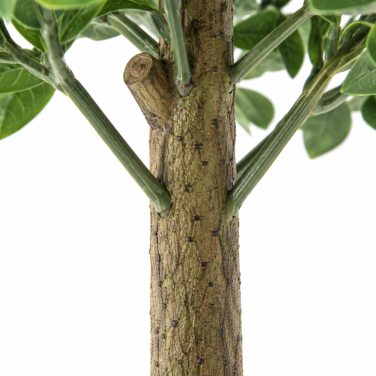 Annaëlle - Duo Ligustrum Artificielle Extérieur