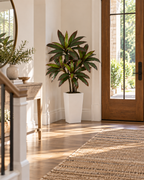 Apla – Dracaena artificiel