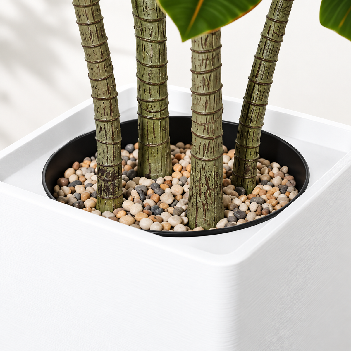 Apla – Dracaena artificiel