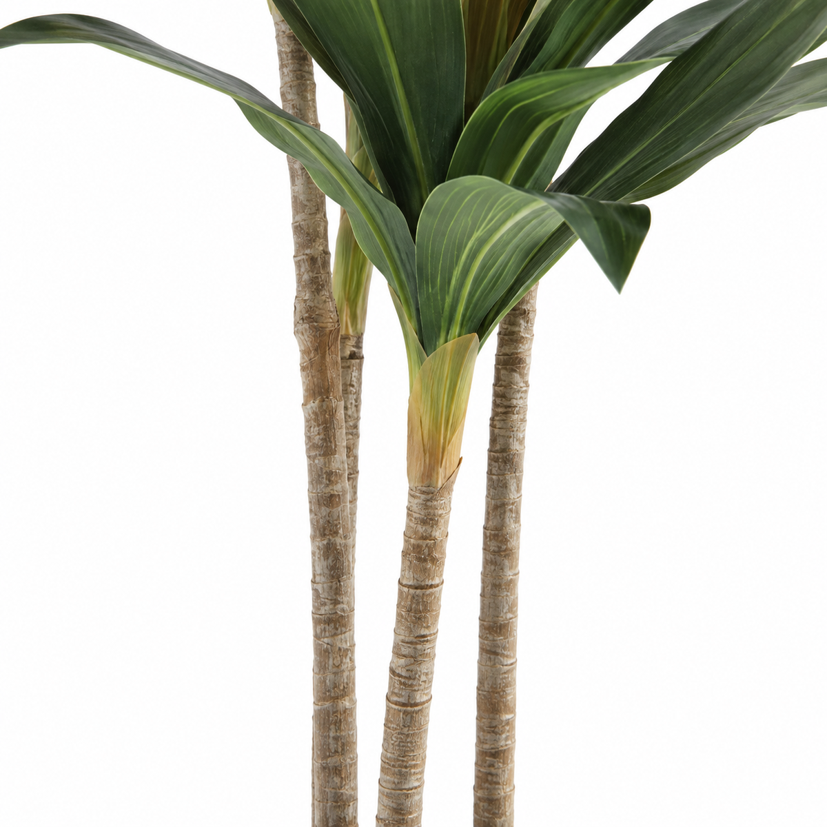 Arthur - Dracaena Artificielle 105cm