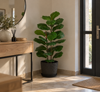 Asso - Ficus Lyrata Artificielle 100cm