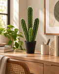 Atoh - Cactus Artificiel 53cm