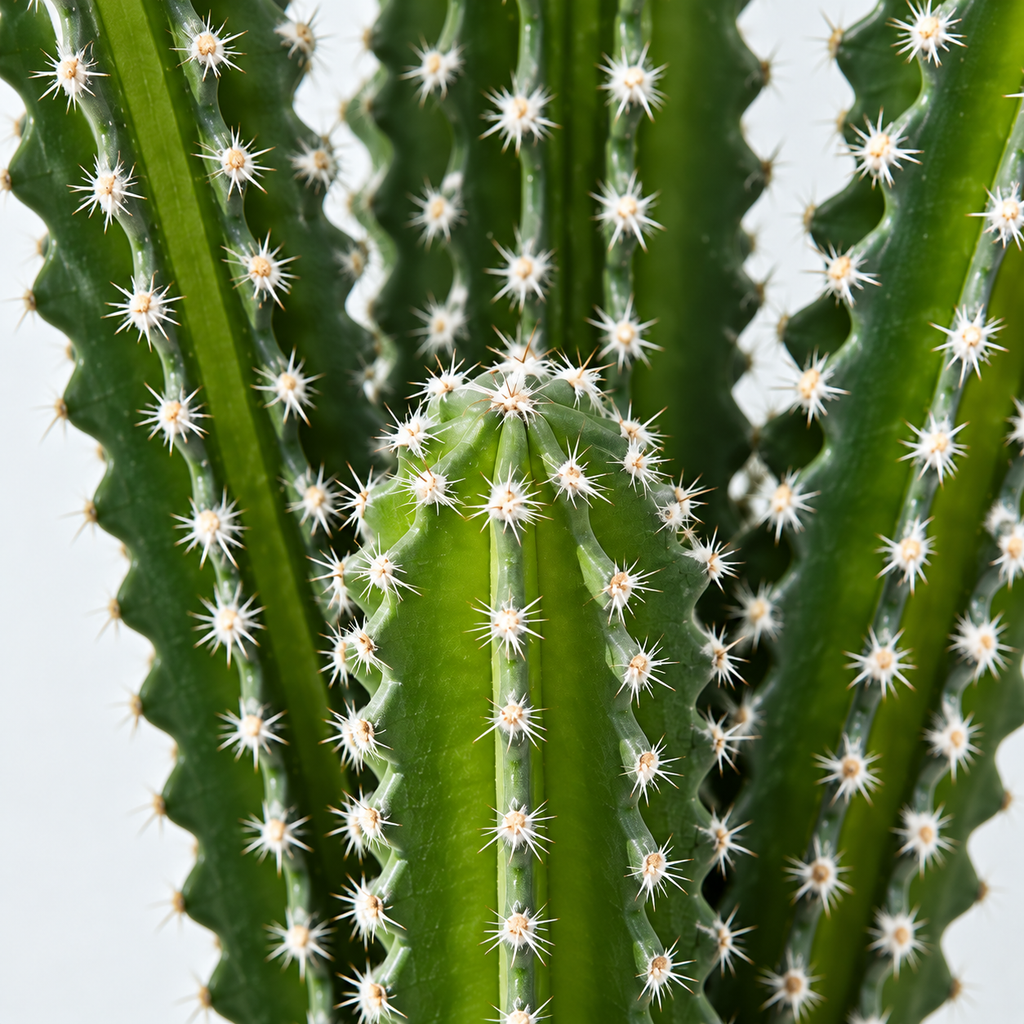 Atoh - Cactus Artificiel 53cm