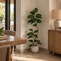 Agap – Ficus Elastica Artificiel Intérieur et Extérieur