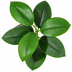 Agap – Ficus Elastica Artificiel Intérieur et Extérieur