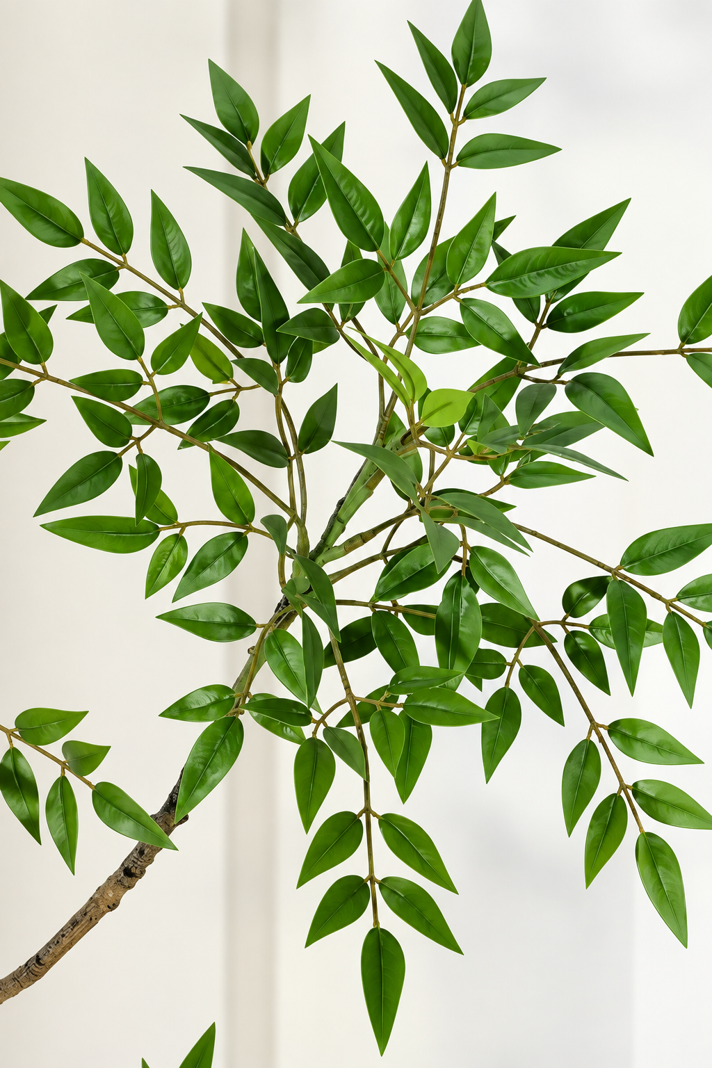 Aky - Nandina Artificiel
