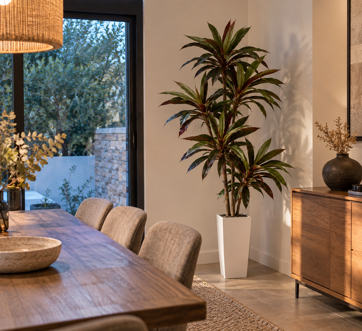 Apla – Dracaena artificiel