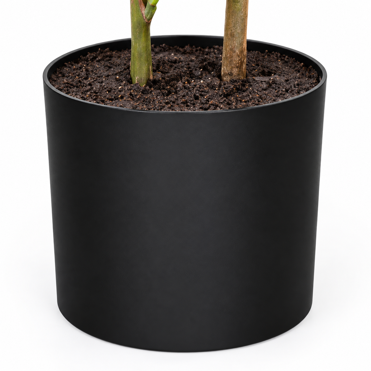 Asso - Ficus Lyrata Artificielle 100cm