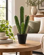 Atoh - Cactus Artificiel 53cm