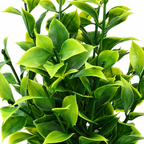Azi - Lot de 6 Plantes Artificielles